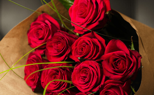 Preserved Roses